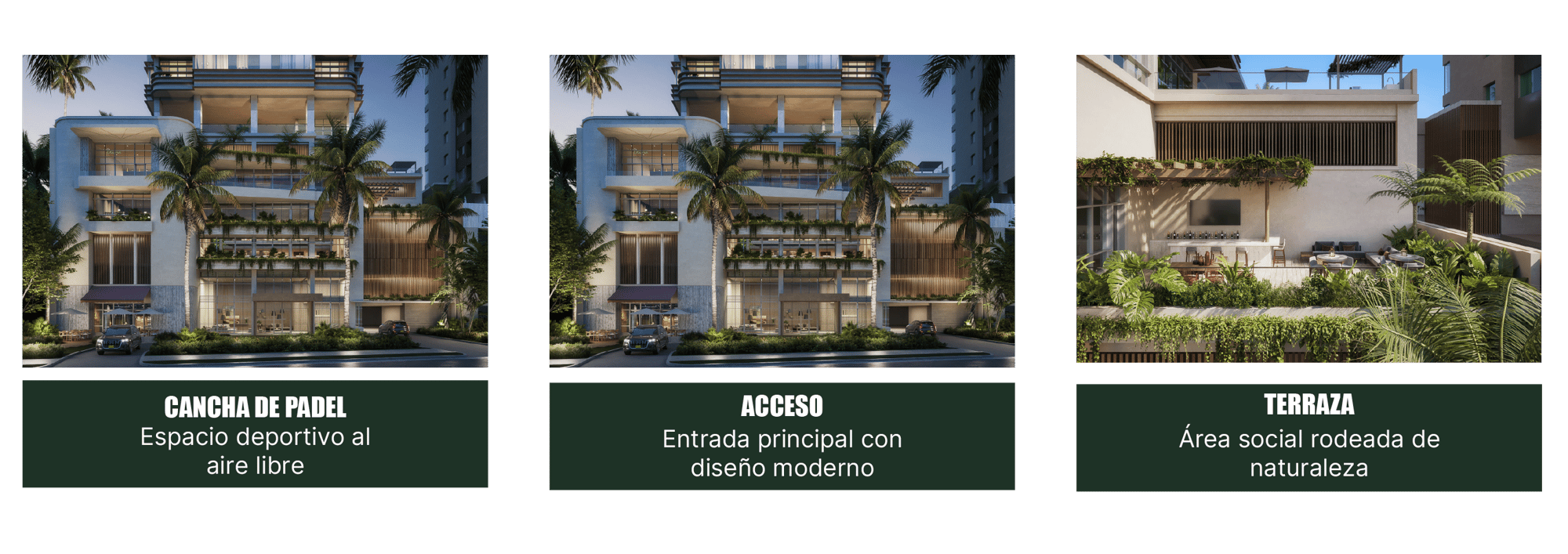 Landing-Ébano V02_FOTOS